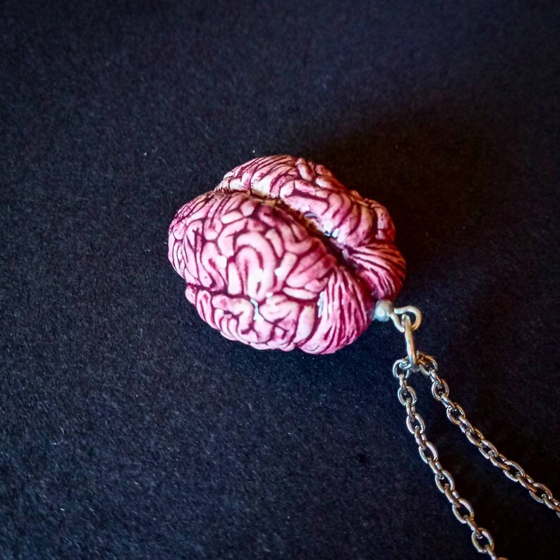 anatomical brain earrings creepy jewellery Pendant Set