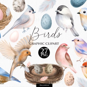Aquarel vogels clipart schattig lente vogel png hand getekende illustratie veren bos dierlijke illustraties bosvogel eieren nest mees Jay