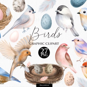 Spring Birds Clipart Cute Bird Feathers Easter Woodland Bird Eggs Nest clipart Forest Birds Png Art Titmouse Jay Watercolor animal clip art