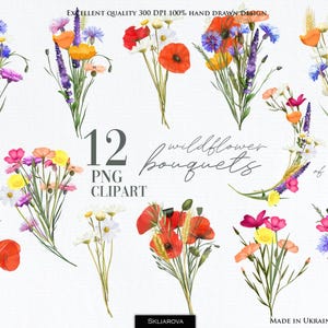 Clipart botanique aquarelle fleurs d'été png Ensemble de bouquets de fleurs dessinés à la main, fleurs sauvages lumineuses des prés clip art pavot png bleuet png