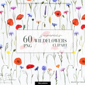 Clipart botanique aquarelle fleurs d'été png fleurs sauvages lumineuses des prés clip art pavot png bleuet png éléments floraux DIY dessinés à la main