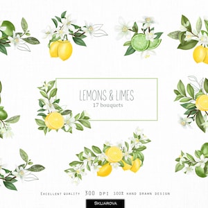 Lemons clipart png Watercolor lemon tree clipart Lemon branch Png Botanical illustration Summer wedding clipart Citrus lemon fruit decor