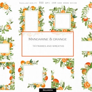 May include: A set of 14 digital illustrations of orange and mandarin wreaths and frames. The illustrations are hand-drawn and feature green leaves, white flowers, and orange fruit.