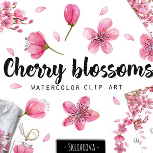 Aquarell Kirschblüte Clipart Frühling blühenden Sakura Clip Art Kirschbaum Zweig png Rosa Blumenkranz Illustration Nahtloses Muster