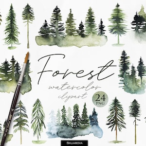 Clipart di alberi della foresta ad acquerello, Clip art della foresta, Paesaggio, Scenario, Natura, Invito di nozze, Bosco, Pino, png, Conifere, Abeti, Png