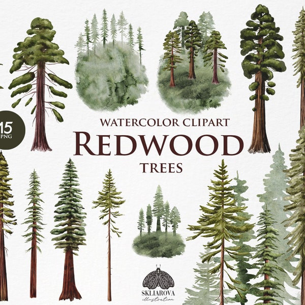 Redwood tree clipart PNG Watercolor forest clipart Sequoia clipart Nature clipart Wedding invitation Watercolor woodland Pine tree clipart