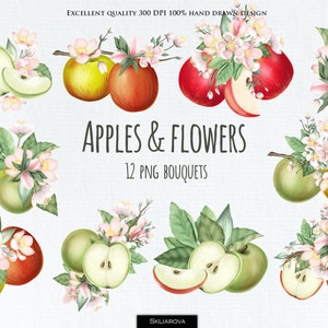 Clipart de pommes PNG clipart de pommier aquarelle bouquet de fleurs de pommier branche de pommier printemps pomme rouge fruit nourriture pommier fleur illustration