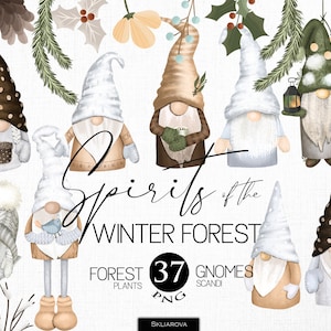 Gnomo png Gnomi natalizi clipart Clipart natalizio Clipart invernale Gnomo invernale Clipart floreale Clipart troll Gnomo scandinavo png