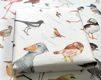 Könnte beinhalten: Ein Geschenk mit Vogelmotiven und dem Alphabet verpackt. Das Geschenkpapier zeigt verschiedene Vogelarten, darunter eine Elster, ein Kolibri und eine Eule. Der Hintergrund enthält ein Poster mit Vogelillustrationen.