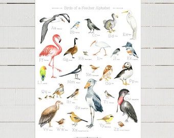 Bird Alphabet Poster