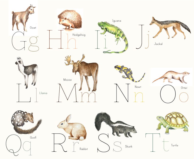 Animal Alphabet Poster Etsy Canada