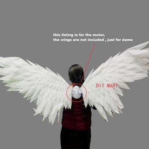 Apriporta elettrico sincronizzato modificato e realizzato a mano - Kit motore per ante mobili con batteria 14500 e cinghia (ali non incluse)