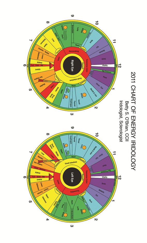 Iridology Chart