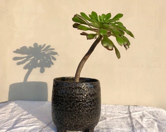 pot / black sandstone pot cover / unique piece