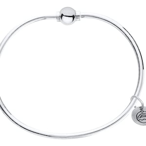 Pu&ograve; includere: Un braccialetto rigido in argento con un ciondolo a sfera liscia e un piccolo ciondolo con un motivo a onda.