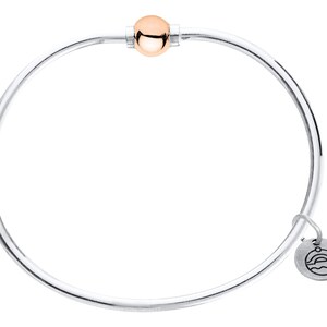 Pu&ograve; includere: Un braccialetto rigido in argento con un ciondolo a sfera in oro rosa e un piccolo ciondolo in argento con un motivo a onda.