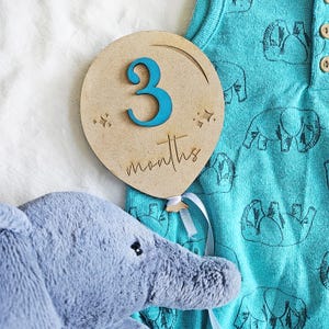Set di segnapunti mensili per neonati / Palloncini intercambiabili per segnapunti mensili / Accessorio per foto di neonati / Regalo per baby shower