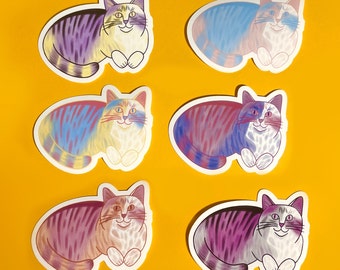 Subtle Pride Cat Sticker