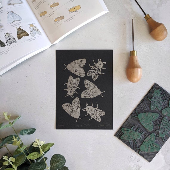 Gypsy Moth Limited Edition Linocut Print - Insect Wall Art