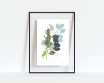 Honesty Linocut Print, British Garden Art, Botanical Wall Art, Limited Edition Linocut