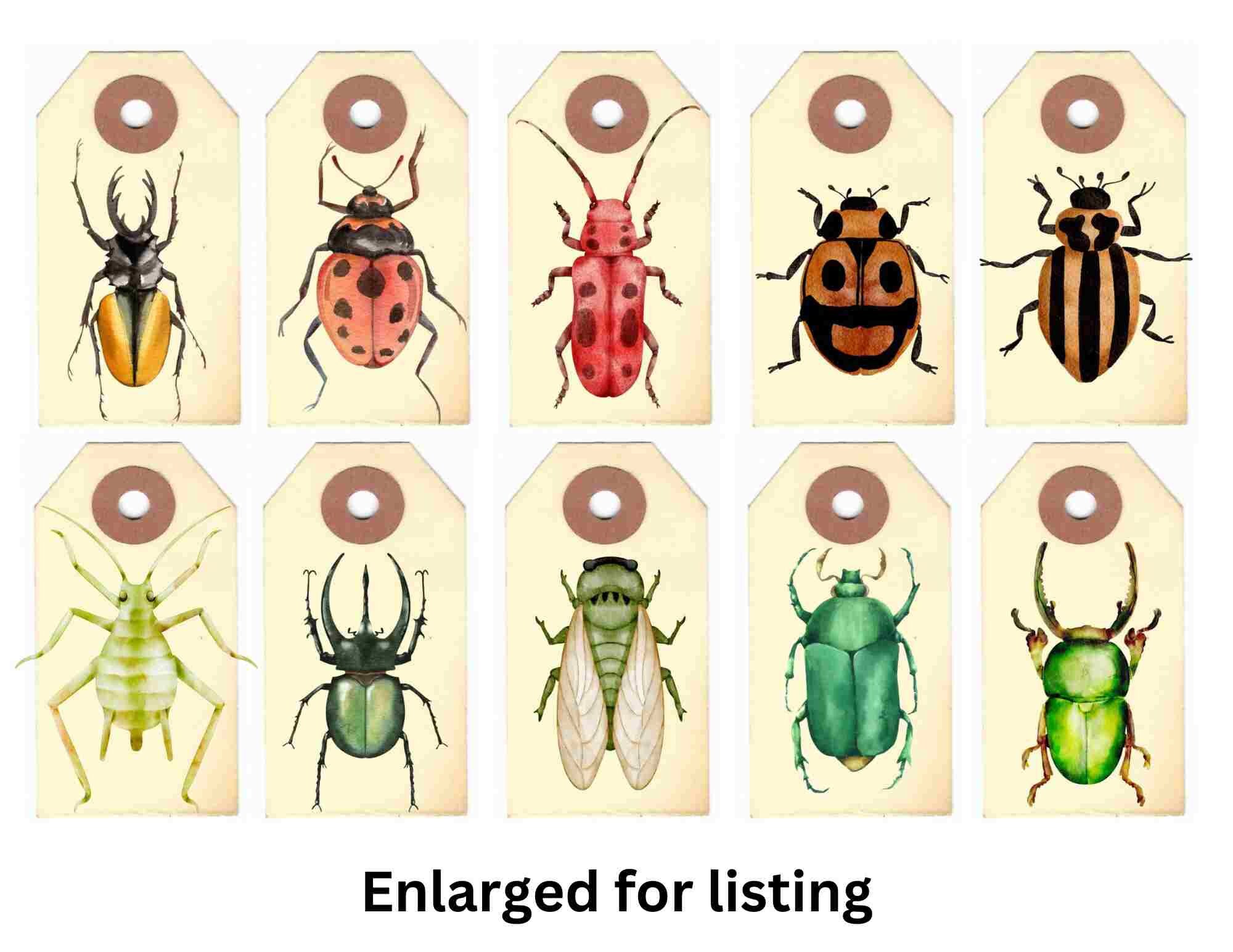 Garden Bugs Tiny Tags, Printable Journal Embellishments (digital ...