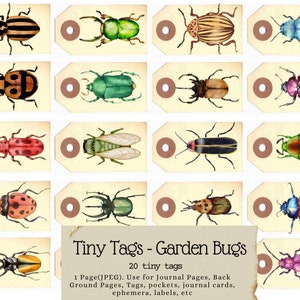Piccole etichette per insetti da giardino, etichette regalo, etichette per diario, etichette primaverili, etichette stampabili per fiori selvatici, parassiti del giardino, giardino dell'habitat naturale, impollinatore