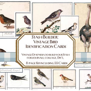 May include: A set of vintage bird identification cards, each with detailed illustrations of different bird species. The cards include handwritten labels and scientific names. The central card reads "STASH BUILDER: VINTAGE BIRD IDENTIFICATION CARDS". The kit includes 55 cards.