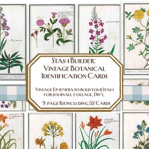 May include: A set of vintage botanical identification cards with detailed illustrations of different flowers. The cards are arranged in a grid, with a central banner that reads "STASH BUILDER: VINTAGE BOTANICAL IDENTIFICATION CARDS". The kit includes 52 cards.