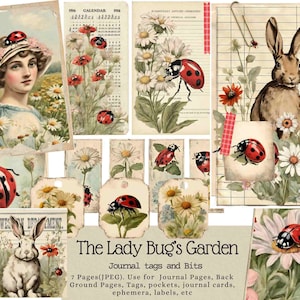 Kit de etiquetas y bits de Lady Bug's Garden Journal, Lady Bug, Junk Journal, Shabby Chic, Jardín, Flores Silvestres, Tarjeta de Diario, Etiquetas, Efímera de Primavera