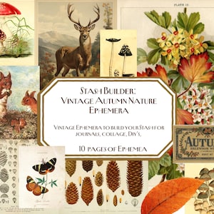 Könnte beinhalten: Eine Collage mit Vintage-Ephemera zum Thema Herbst. Das Bild enthält Illustrationen von Pilzen, einem Hirsch, Eichhörnchen, Schmetterlingen, Tannenzapfen und Herbstlaub. Der Text lautet "STASH BUILDER: VINTAGE AUTUMN NATURE EPHEMERA" und "10 PAGES OF EPHEMERA".