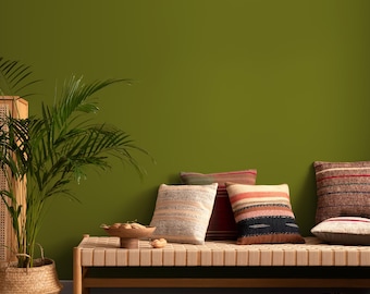 May include: A cozy living room scene with a wooden bench adorned with patterned pillows in shades of red, beige, and blue. A woven basket holds a potted plant, and a wooden bowl with snacks sits on the bench. The background is a solid olive green.