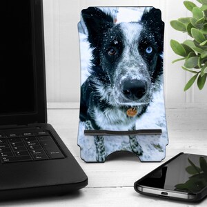 May include: A black and white dog with blue eyes stands in the snow. The dog is wearing a collar with a tag. The image is printed on a phone stand.