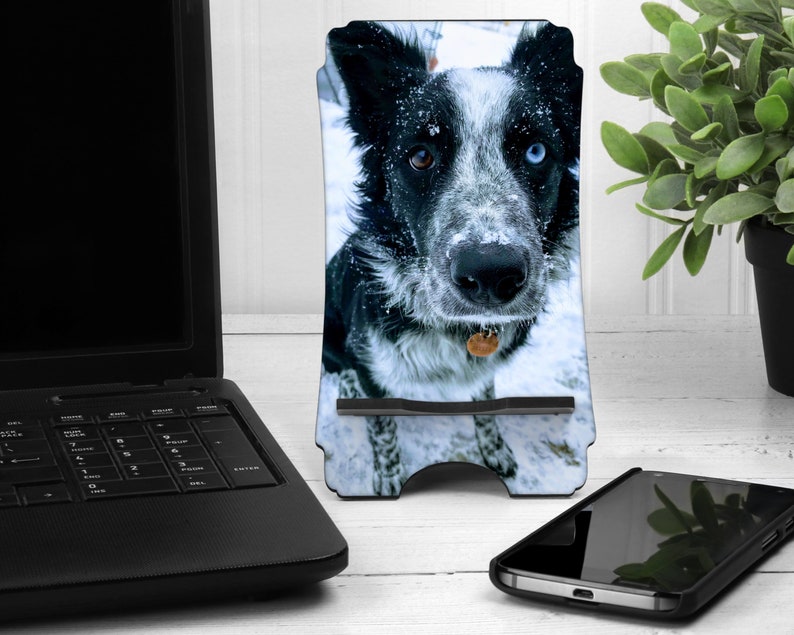 May include: A black and white dog with blue eyes stands in the snow. The dog is wearing a collar with a tag. The image is printed on a phone stand.