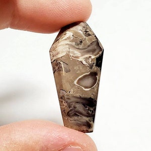Coffin Shaped Faceted Palm Root Agate Gemstone Cabochon, 1pc