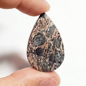 Kambaba Jasper Gemstone Cabochon, 1pc