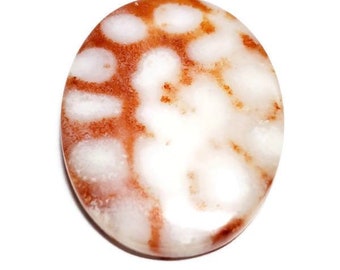 Coral Red Orange Fossil Gemstone Cabochon, 1pc