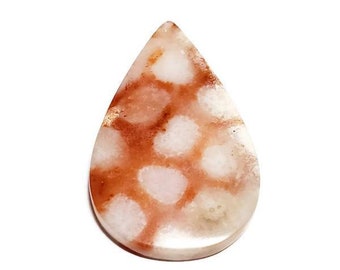 Coral Red Orange Fossil Gemstone Cabochon, 1pc