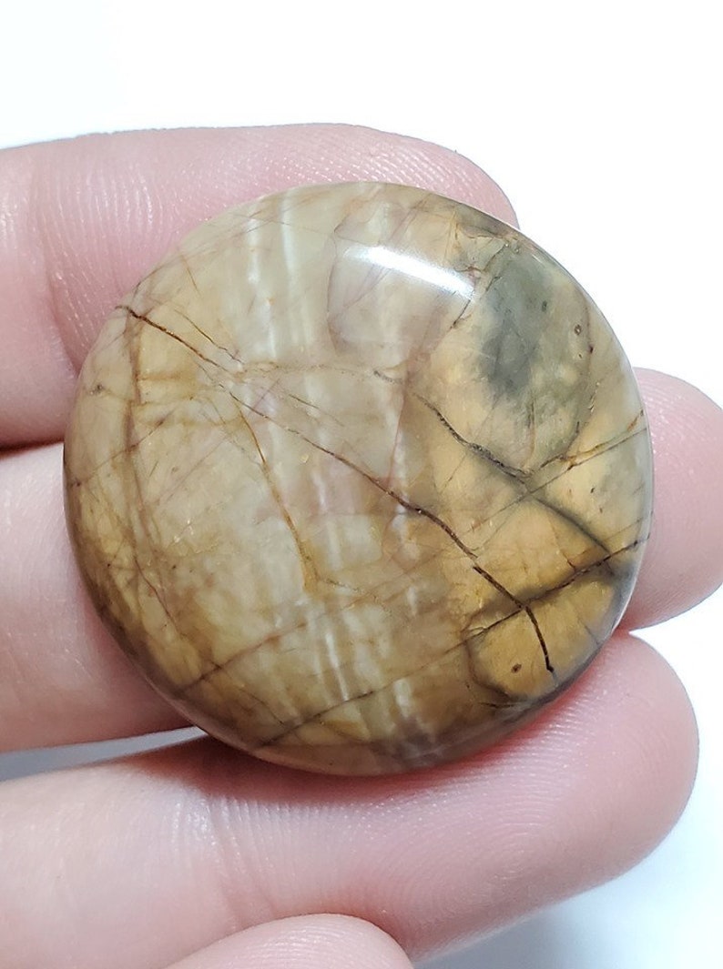 Flat Back Cabochon Gemstone Picasso Jasper Gemstone Cabochon Cab Gemstone Cab Picasso Jasper Jasper Cabochon Gemstone Jasper