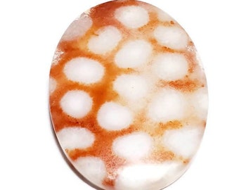 Coral Red Orange Fossil Gemstone Cabochon, 1pc
