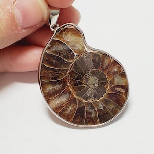 Silver Plated Opalized Ammonite Fossil Stone Pendant, 1pc