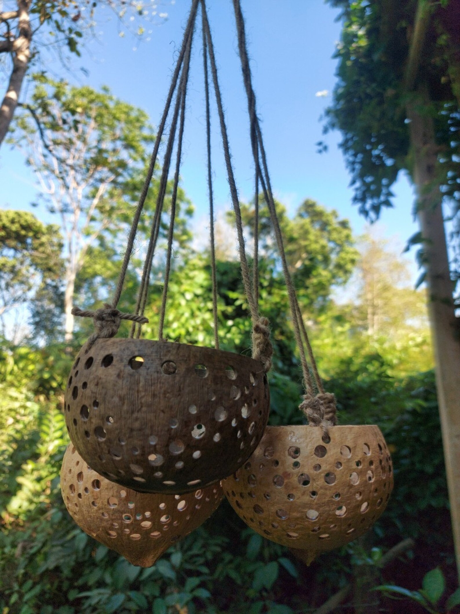 Set 3 PCS Hanging Orchid Pot Air Plant Holder Hanging Orchid Etsy