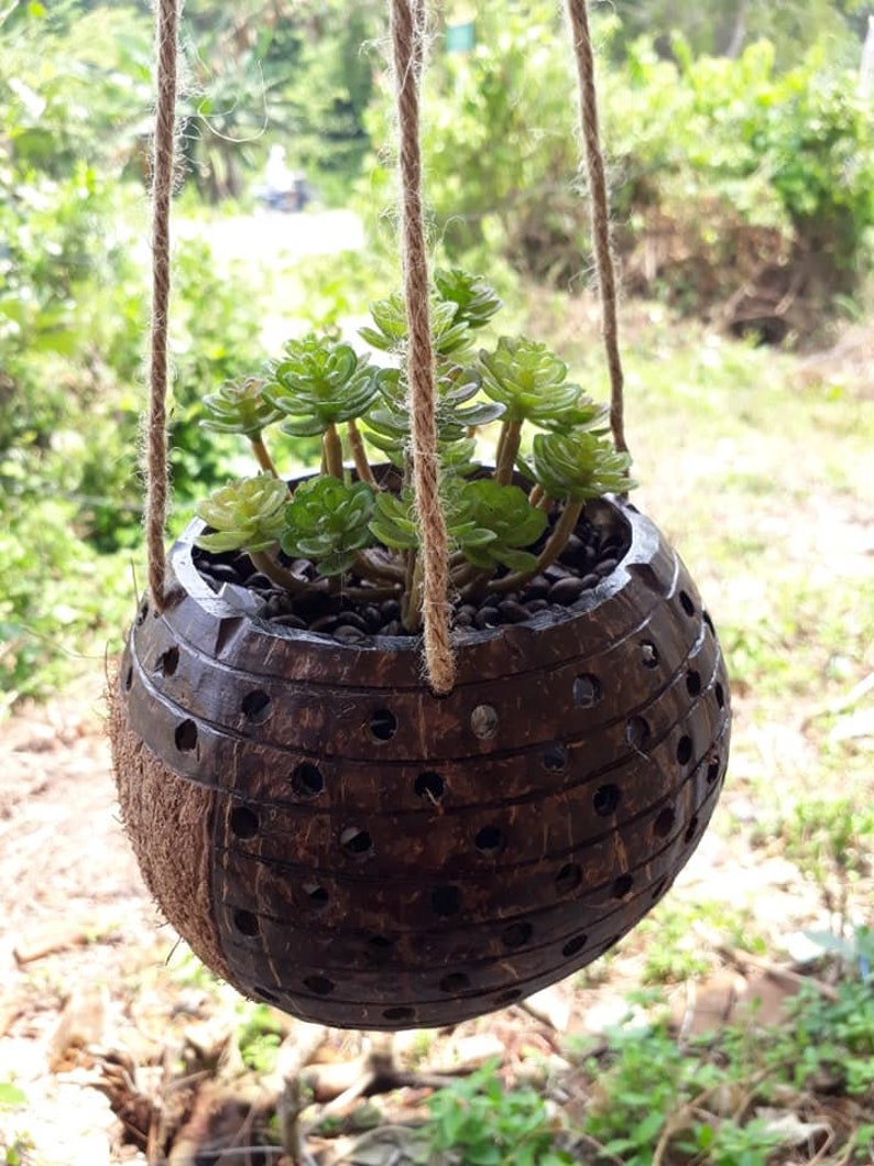 1 Pc large size Hanging coconut shell pot hanging planter Etsy