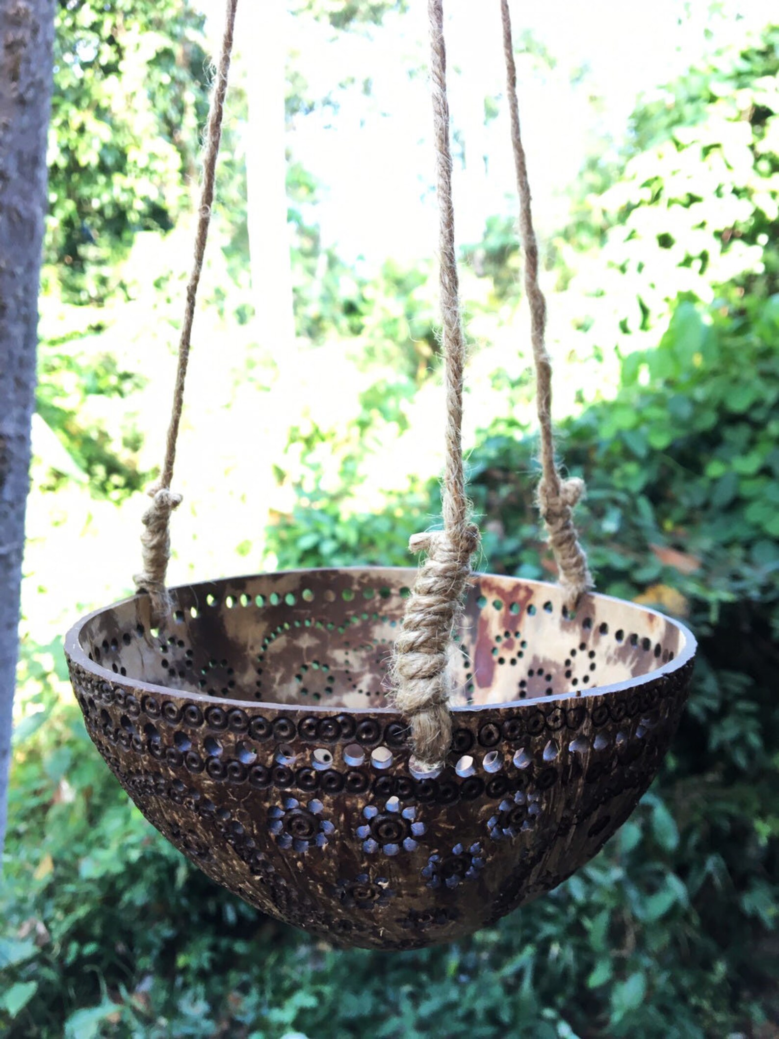 1 Pc Large size hanging coconut shell pot planter pot Etsy