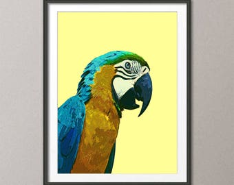 VINTAGE PARROTS BLUE YELLOW MACCAW BIRD AVIARY TROPICAL CANVAS ART PRINT-BIG