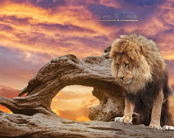 7x7FT Vinyl Backdrop Photographer,Lion,Ornamental Floral Animal Head Background for Baby Birthday Party Wedding Graduation Home Decoration 7x7FT Vinyl Backdrop Photographer,Lion,Ornamental Floral Animal Head Background for Baby Birthday Party Wedding Graduation Home Decoration