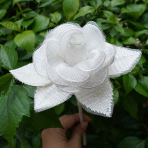 White Lace Rose 13th Anniversary Flower for 13 Years Wedding ...