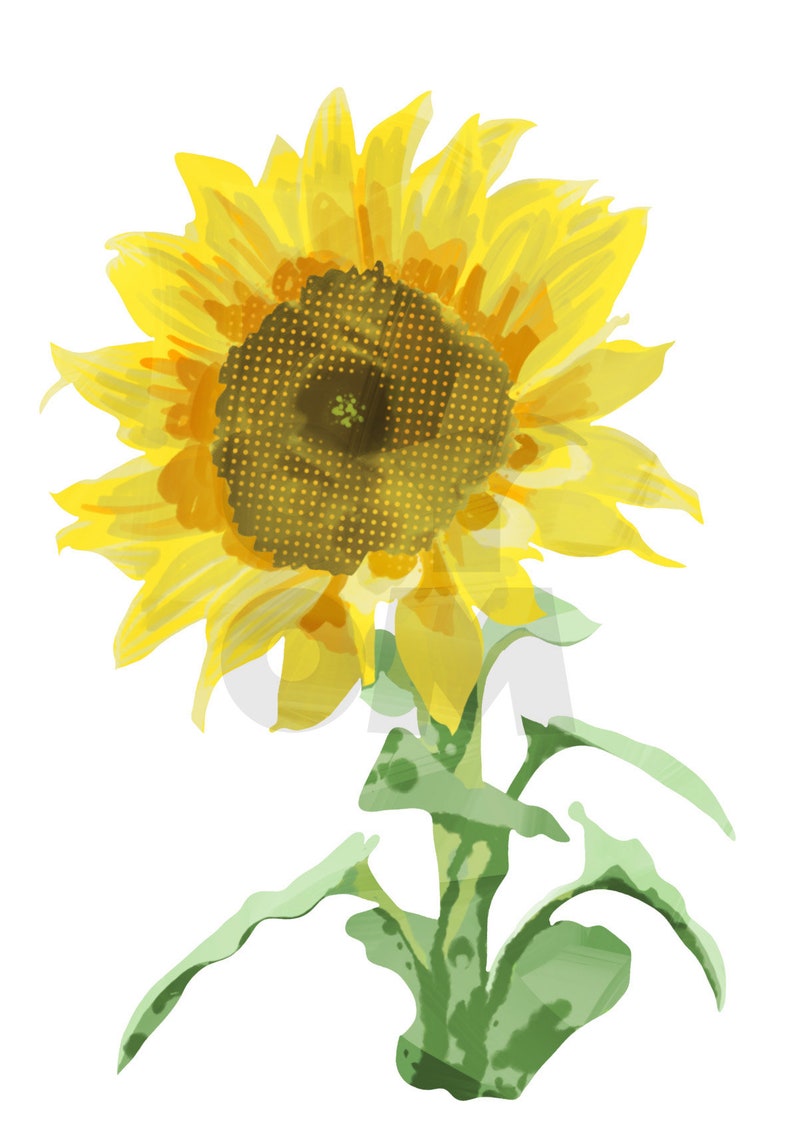 Download Yellow Sunflower Clipart Bundle Harvest Floral Watercolor ...