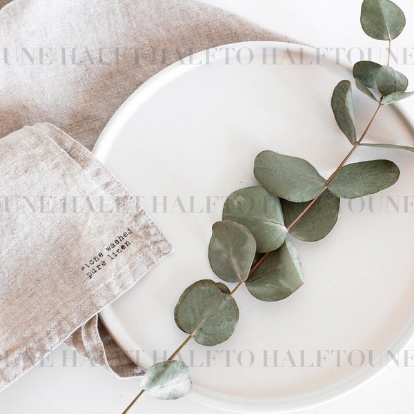 Stock Photo,Stock Image,Eucalyptus Stock Photo,Blog Stock Image,Modern,Clean,Photography,Image,Styled Stock Photo,Styled Photo,Styled Images