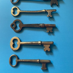 May include: Five antique metal skeleton keys arranged in a vertical row. Each key features a bow with a figure-eight cutout, a cylindrical shank, and a distinct bit pattern at the end. The keys vary in finish, including dark iron, polished silver, and weathered steel textures.
