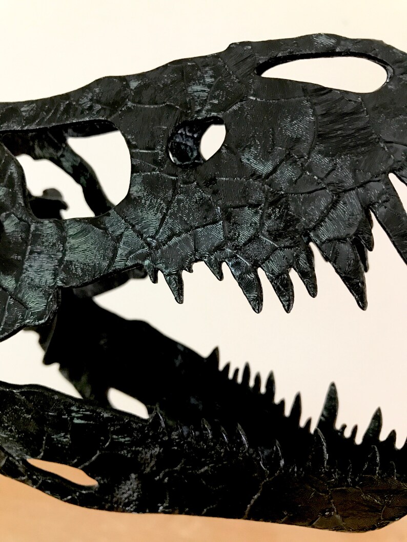 May include: Black dinosaur skull replica with detailed textured bone structure and sharp teeth.